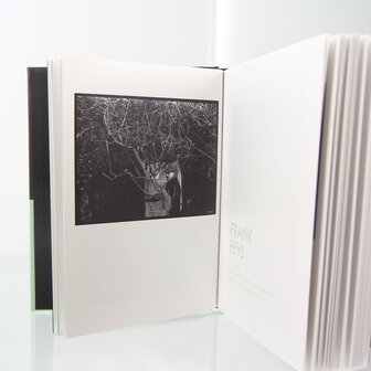 Boek Noeste Slaepers - Kris Dewitte