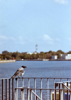 EXPIRED Fujifilm Fujicolor 100 film 135/36 (Exp date 07/2010)