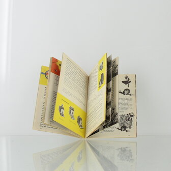 Pocketgids voor fotografie in kleuren &ndash; Herbert S. Zim en R. Will Burnett