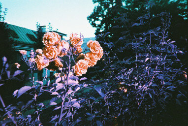 NIEUWE Simple use camera LomoChrome Purple