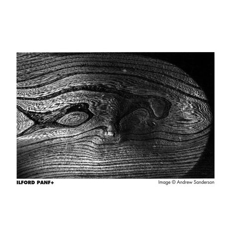 PAN F-plus 50 120 film