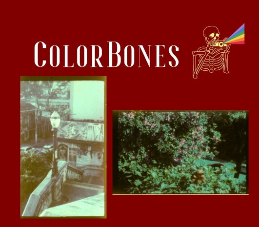 Bones film experimental color film 100 135/20exp