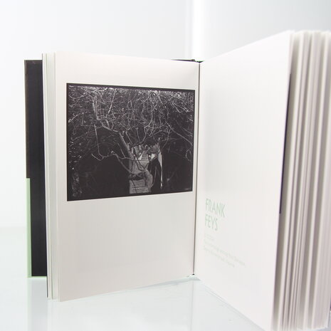 Boek Noeste Slaepers - Kris Dewitte