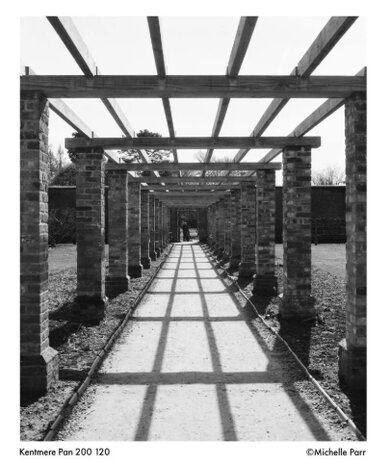 Nieuwe KENTMERE PAN 200 120 film